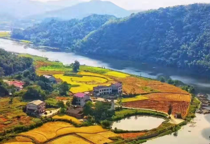 钱能钱包