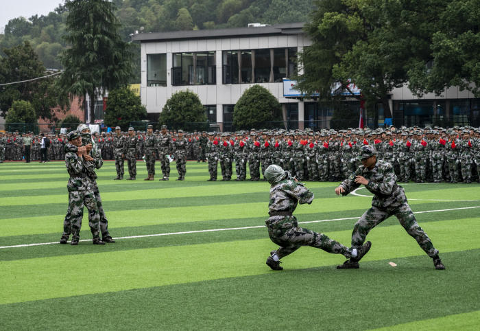 1695616474406099464.png 马.png