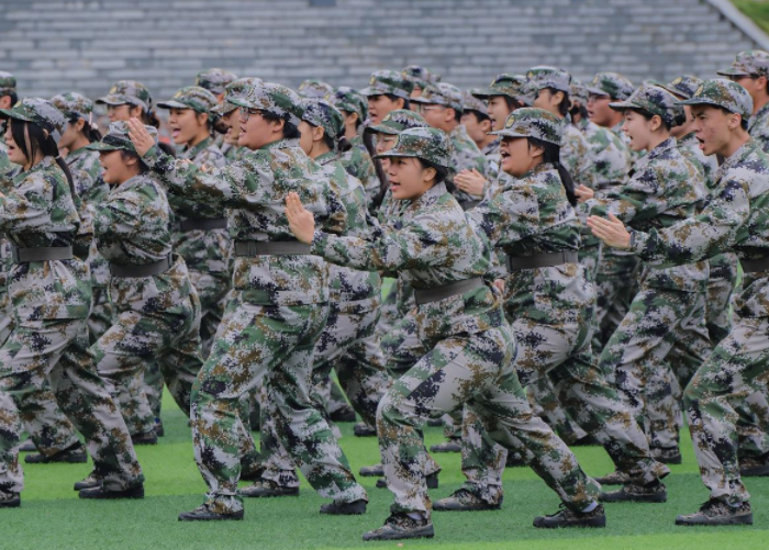 1695626183099022759.png 拳 卢.png