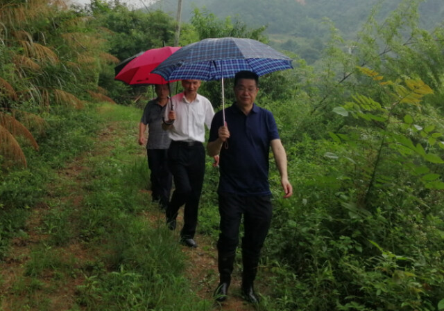钱能钱包