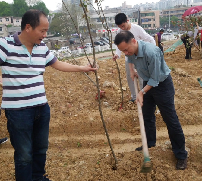 222.png