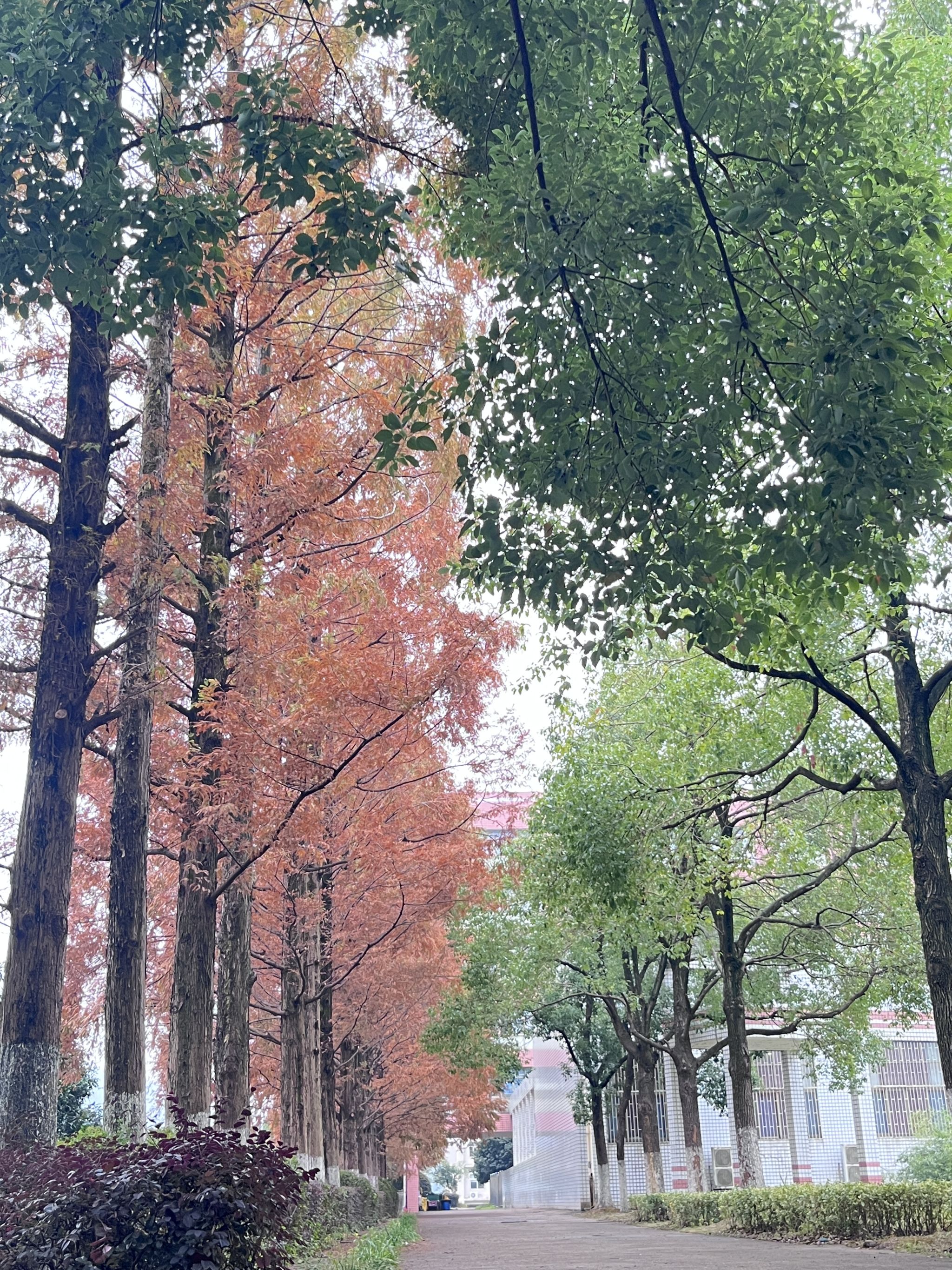 钱能钱包