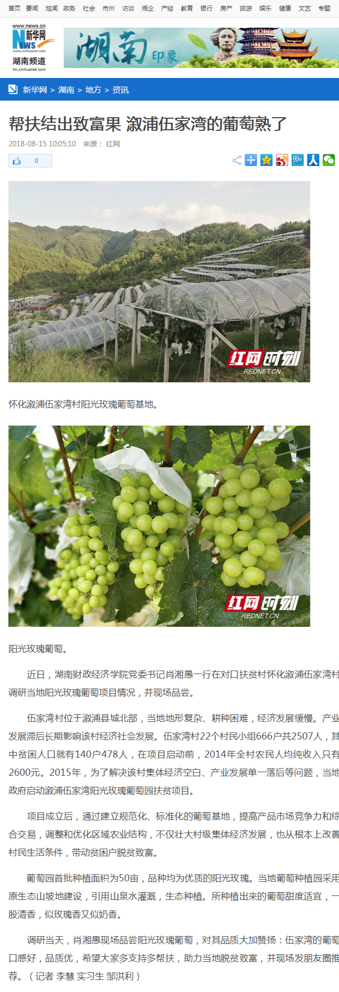 钱能钱包